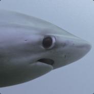 Carcharodon's - Steam avatar