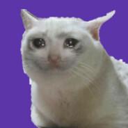 Purr.ple's Stream profile image