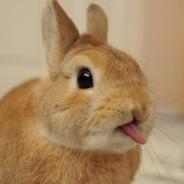 knapsutin's Stream profile image