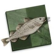 Stockfish's - Steam avatar