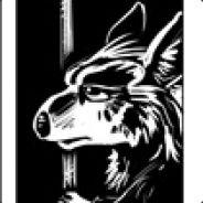 OwlCaller's Stream profile image