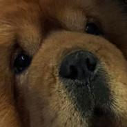 CLChien's Stream profile image