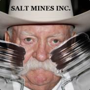 Salt Mines Inc.'s - Steam avatar
