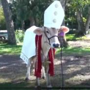 Holy Cow's - Steam avatar