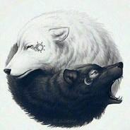 White Wolf's Stream profile image