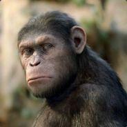 Nyasoo's - Steam avatar