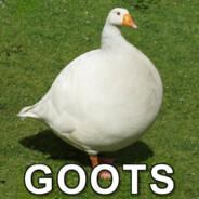 Callsign: Goots's Stream profile image