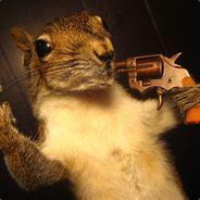 Suicidal Squirrel's Stream profile image