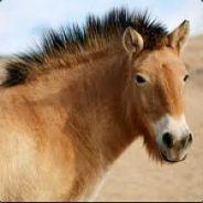 Mary's Stream profile image