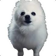 mayrones's - Steam avatar