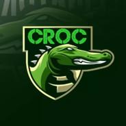 DZ_croc's Stream profile image