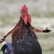 I sleep's Stream profile image