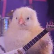 Heavy Metal Chicken's Stream profile image