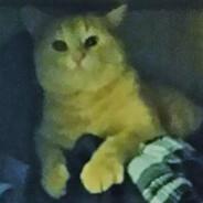 gouranga's Stream profile image