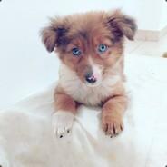 ricky portaz's Stream profile image