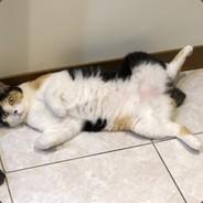 9m88_'s Stream profile image