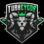 TurkEycof_AoE's Stream profile image
