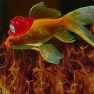 Frydar's - Steam avatar