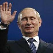 PVMZ's Stream profile image