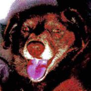 Tim's Stream profile image