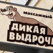 Дикая Выдрочка's Stream profile image