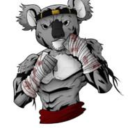 KombatKoala's Stream profile image