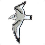 Cajka's Stream profile image