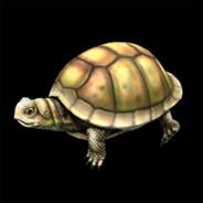 Tortugo's - Steam avatar