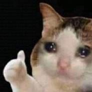 ElMigajas's Stream profile image