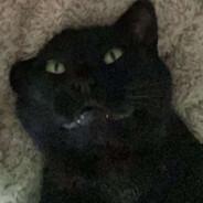 DPRKurwa's Stream profile image