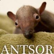 AntSor's - Steam avatar