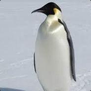 im a special snowflake's Stream profile image