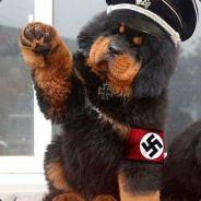 Spergsie's - Steam avatar