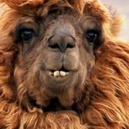 Kallieth's Stream profile image
