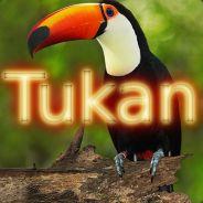 Tukan's Stream profile image