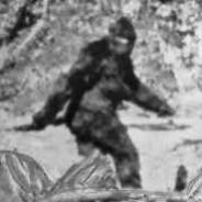 The Hairy Ape Cafe's Stream profile image