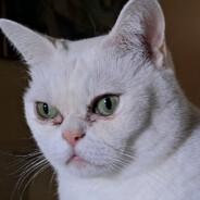 Bugamer16's Stream profile image