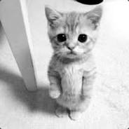 Lego =]'s - Steam avatar