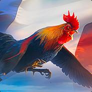 Medium Rare Chicken's - Steam avatar