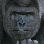 glucose's Stream profile image