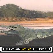 [NLNFHV] Minos1233's Stream profile image