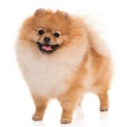 clairebearbinks's Stream profile image