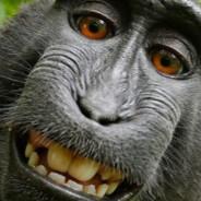 basti194's Stream profile image