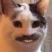 t0mlad's - Steam avatar