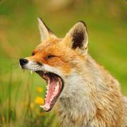 OriginOfChaos's - Steam avatar