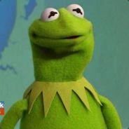 Kermit the Frog's Stream profile image