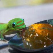 3000hrs's Stream profile image
