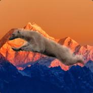 Flying Polar Bear's Stream profile image