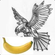 SpyHawk @RINGRINGBANANKING's - Steam avatar