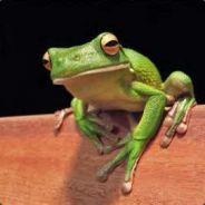 Froggyman's Stream profile image